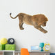 Male Lion Wall Decal