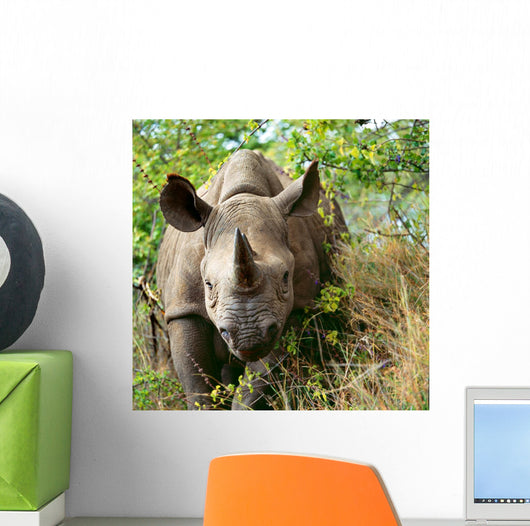 Rhino Wall Decal