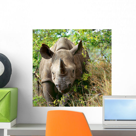Rhino Wall Decal