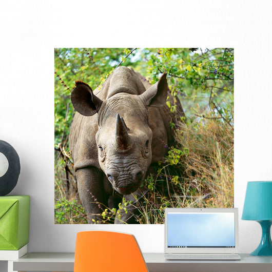 Rhino Wall Decal