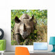 Rhino Wall Decal