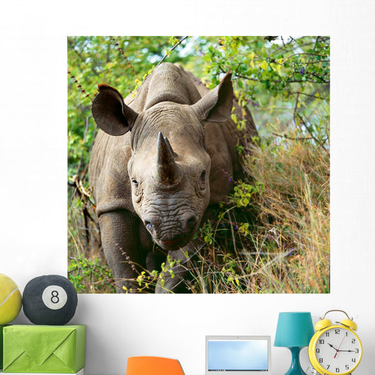 Rhino Wall Decal