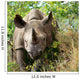 Rhino Wall Decal