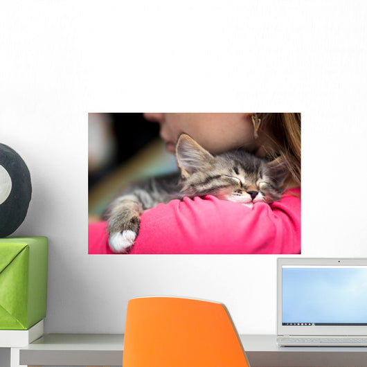 Portrait Cute Kitten Sleeping Wall Decal