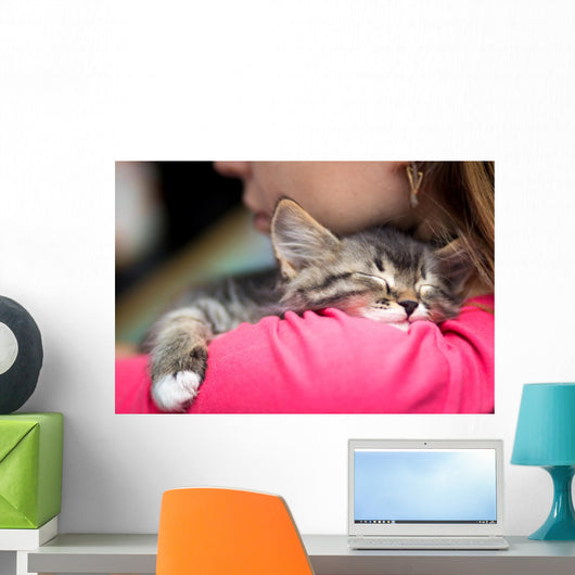 Portrait Cute Kitten Sleeping Wall Decal