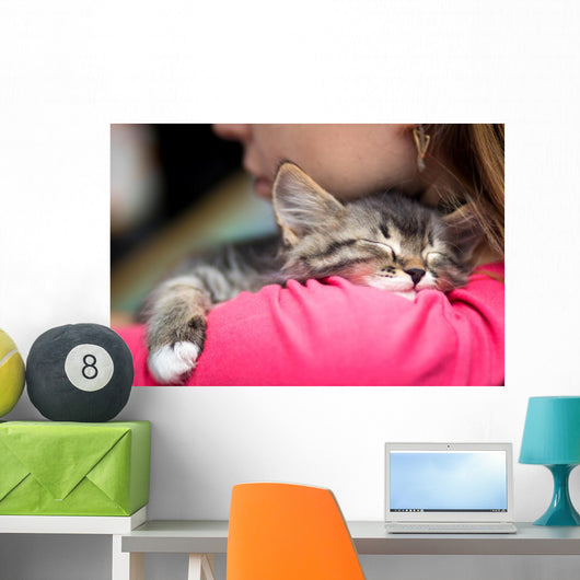 Portrait Cute Kitten Sleeping Wall Decal
