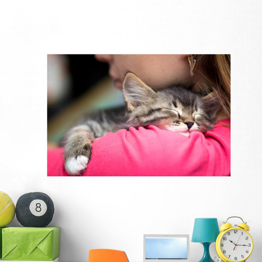 Portrait Cute Kitten Sleeping Wall Decal