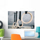 Closeup Image Fitness Rings Wall Decal