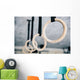 Closeup Image Fitness Rings Wall Decal