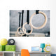 Closeup Image Fitness Rings Wall Decal