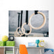Closeup Image Fitness Rings Wall Decal