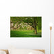 Sunlight Green Forest Springtime Wall Decal