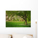 Sunlight Green Forest Springtime Wall Decal
