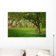 Sunlight Green Forest Springtime Wall Decal