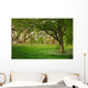 Sunlight Green Forest Springtime Wall Decal