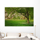 Sunlight Green Forest Springtime Wall Decal