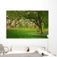 Sunlight Green Forest Springtime Wall Decal