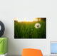 Dandelion Green Grass Spring Wall Decal