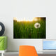 Dandelion Green Grass Spring Wall Decal