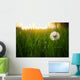 Dandelion Green Grass Spring Wall Decal