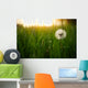 Dandelion Green Grass Spring Wall Decal