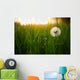 Dandelion Green Grass Spring Wall Decal