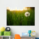 Dandelion Green Grass Spring Wall Decal