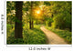 Path Park Wall Decal