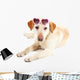 Cute Dog with Sunglasses Wall Decal