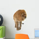 Male Lion Wall Decal