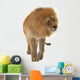 Male Lion Wall Decal