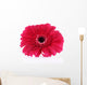 Beautiful Bright Gerbera White Wall Decal