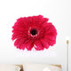 Beautiful Bright Gerbera White Wall Decal