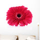 Beautiful Bright Gerbera White Wall Decal