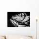 Hockey Skates Lined up Wall Decal