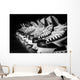 Hockey Skates Lined up Wall Decal