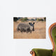 Lone rhino standing on open area looking for safety from poacher Wall Mural