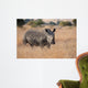 Lone rhino standing on open area looking for safety from poacher Wall Mural