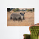 Lone rhino standing on open area looking for safety from poacher Wall Mural