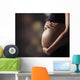 Pregnant Woman Touching Her Wall Decal
