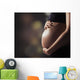 Pregnant Woman Touching Her Wall Decal