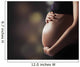 Pregnant Woman Touching Her Wall Decal