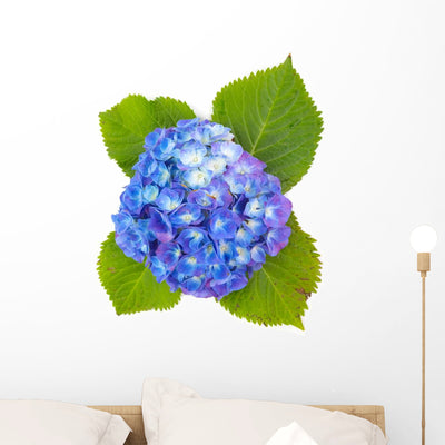 Beautiful Hydrangea Flower White Wall Decal shown on a wall