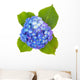 Beautiful Hydrangea Flower White Wall Decal