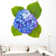 Beautiful Hydrangea Flower White Wall Decal
