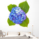Beautiful Hydrangea Flower White Wall Decal