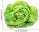 Lettuce Wall Decal
