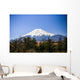 The Blueish Mountain Fuji, Japan Wall Mural