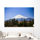 The Blueish Mountain Fuji, Japan Wall Mural