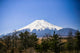 The Blueish Mountain Fuji, Japan Wall Mural